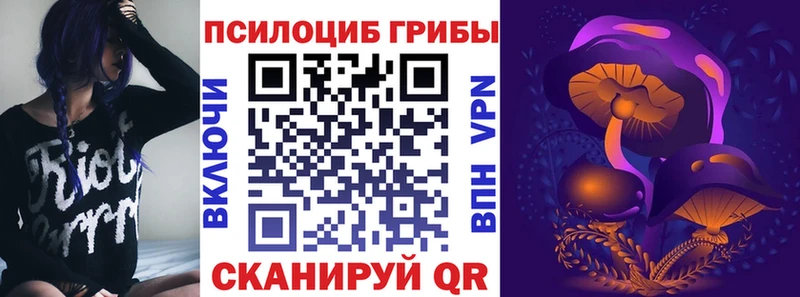 Псилоцибиновые грибы мухоморы Прокопьевск